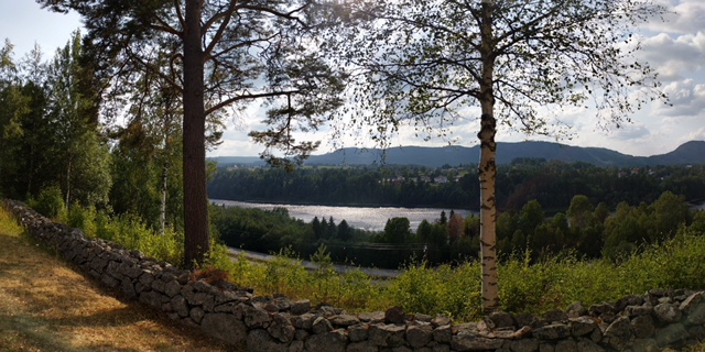 Schwedische Natur - Digital Detox